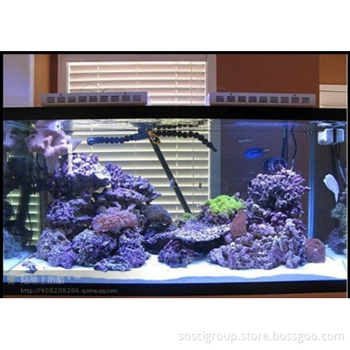 Reliable LED Aquairum Light (SOSCI-55X3W)